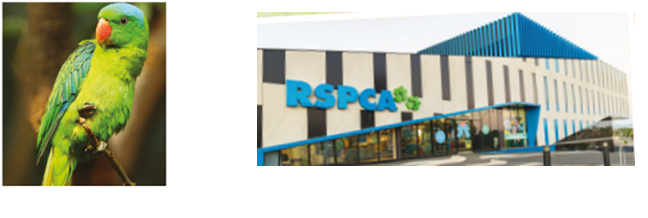 Rspca
